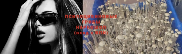 эйфоретик Алзамай